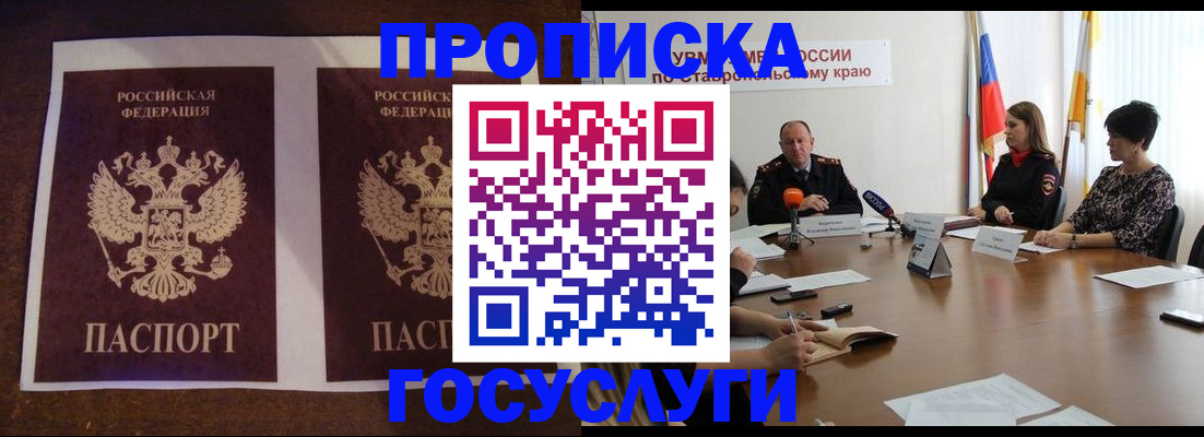 прописка поиск в Павловске